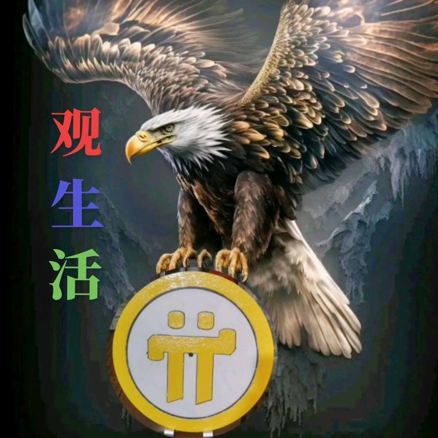 观生活π
