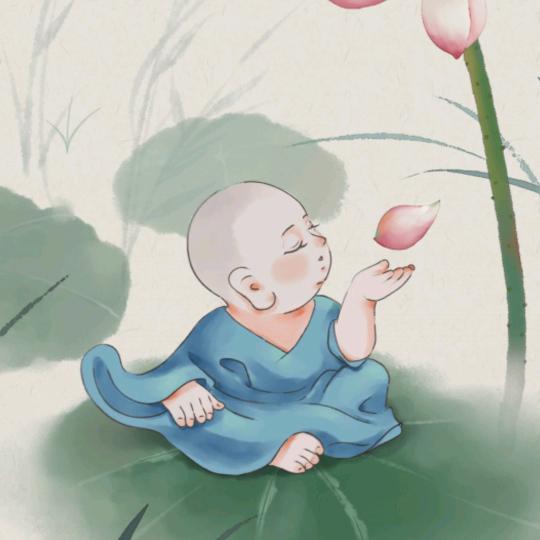 薇薇喂（lpzc99）