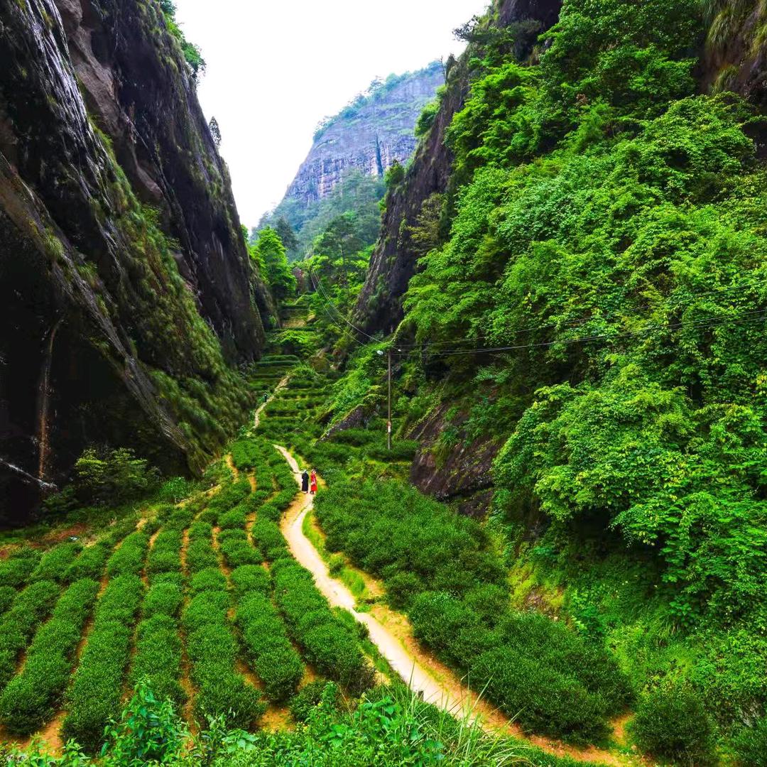 礼兴民宿(景区南入口店)官方号