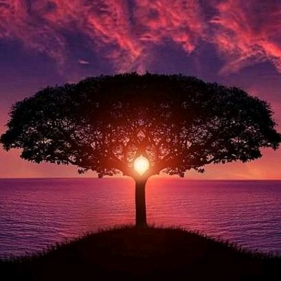 博远广告装饰有限公司