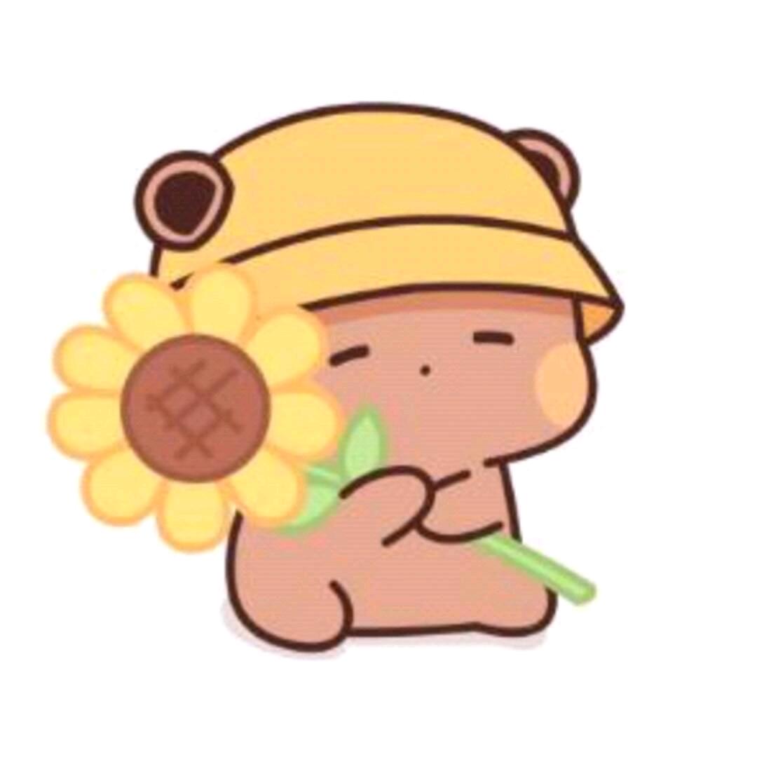 你这个傻瓜