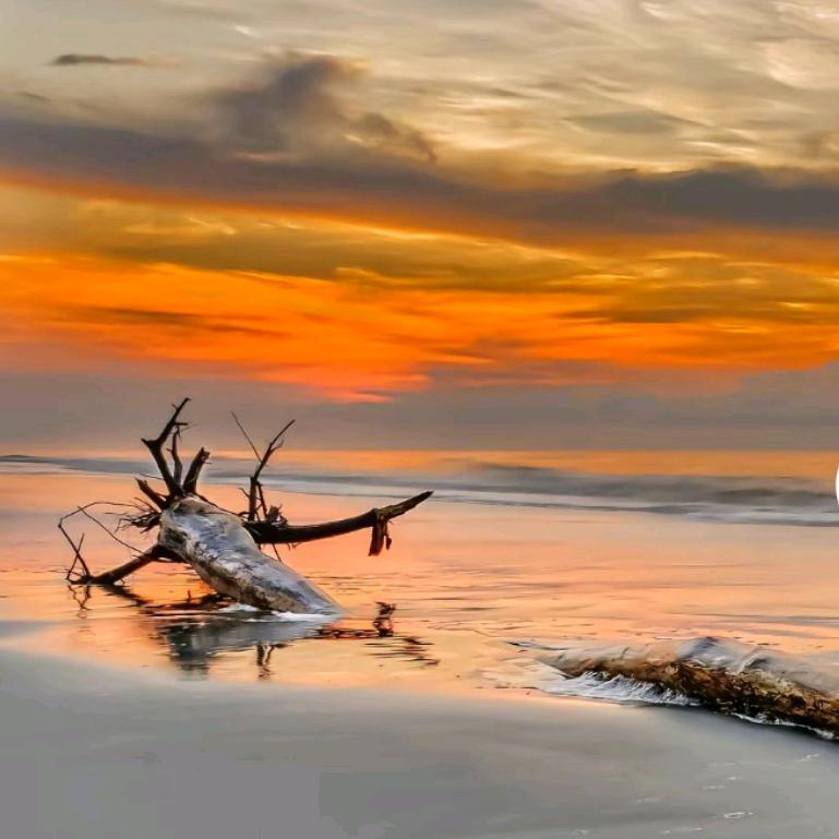 你要的晚安我有