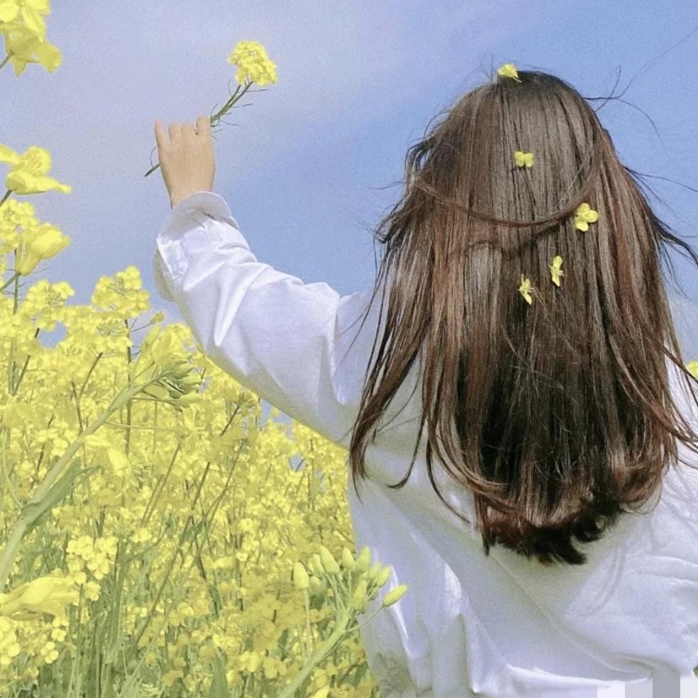 白塔《红叶家纺》