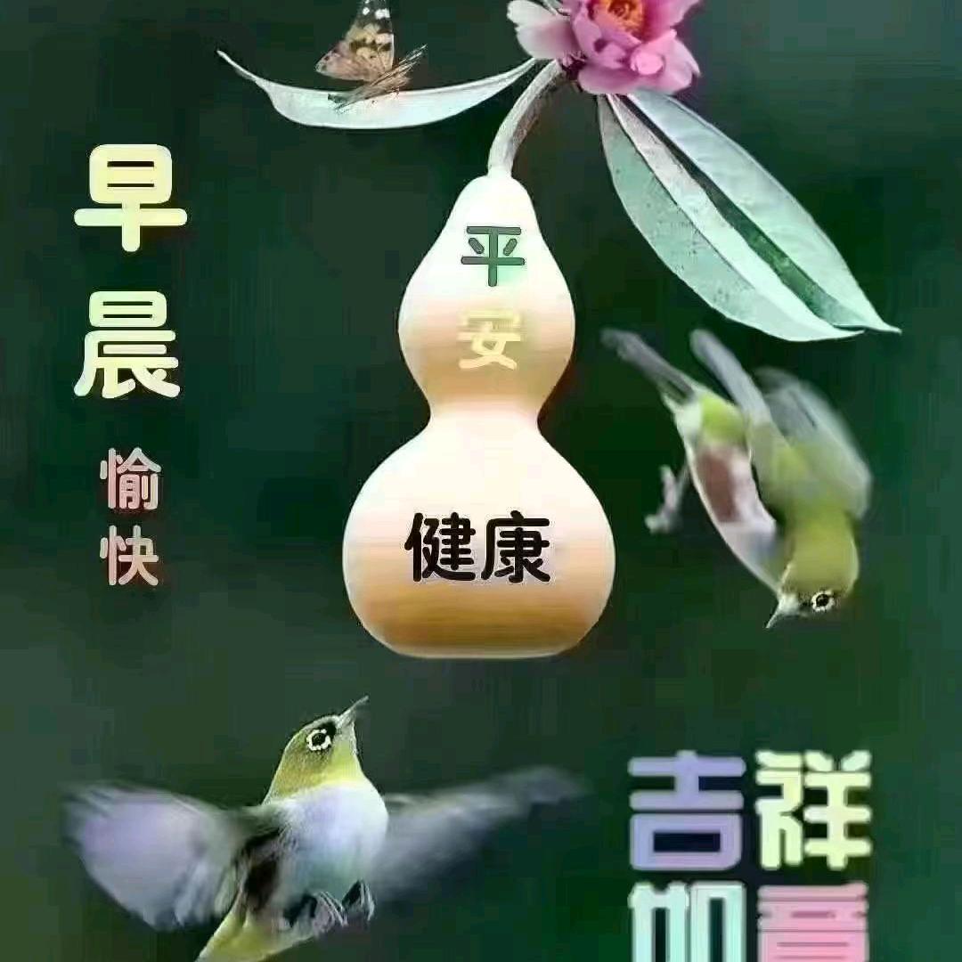 宇乐