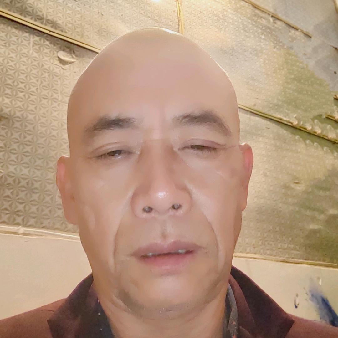 象猫先生。