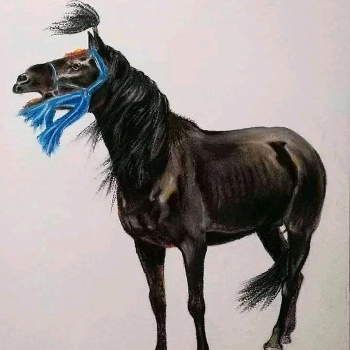 叶尔克木