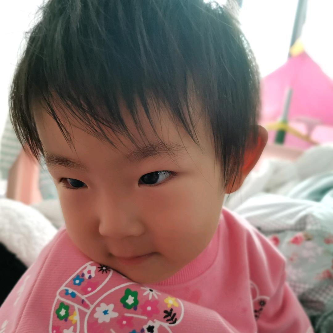 海磊
