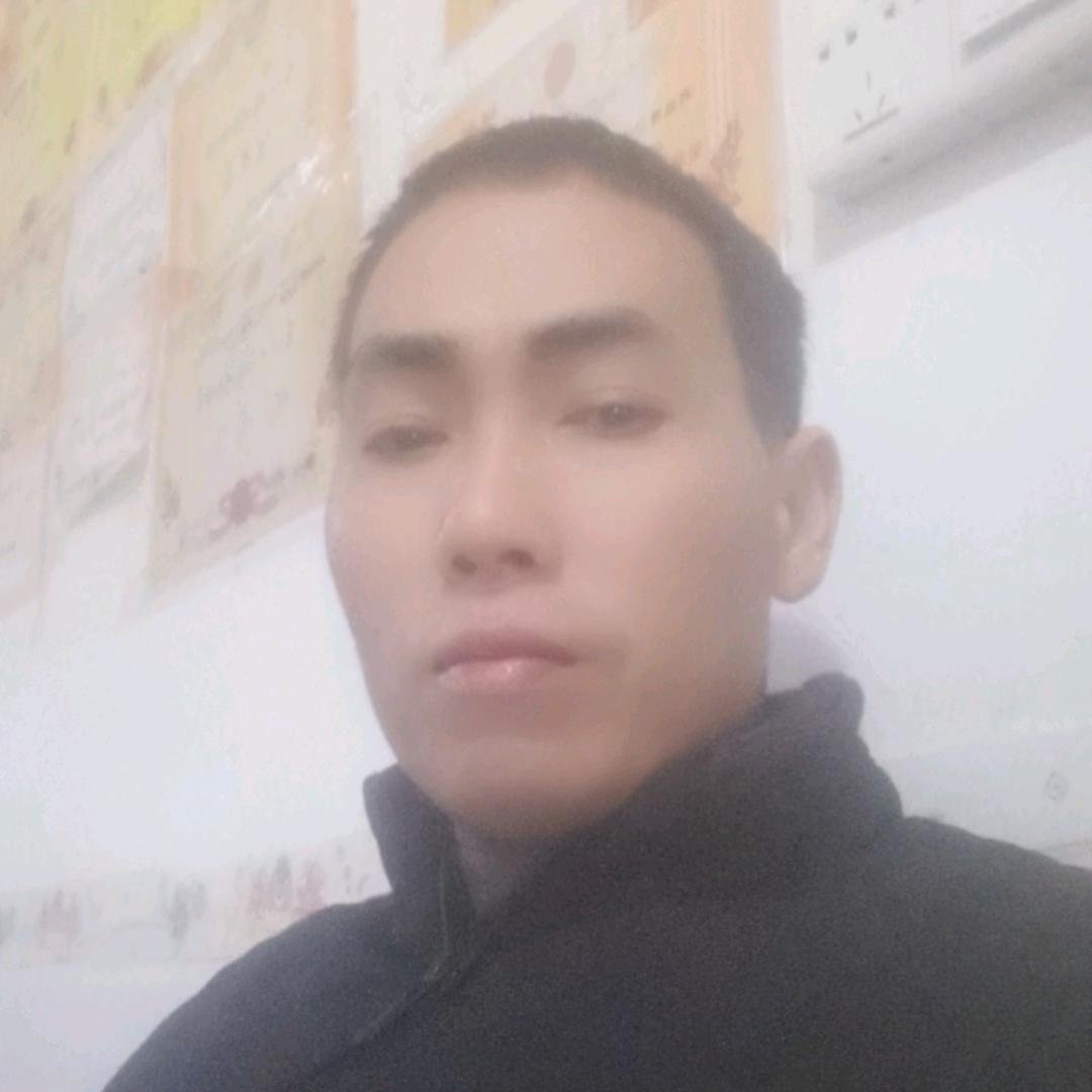 燕子归来