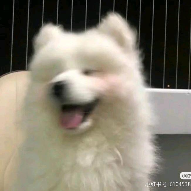 。。