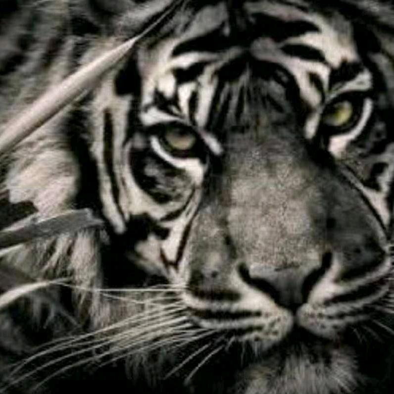 ☆ひ✿ϟ☂冲☃☂