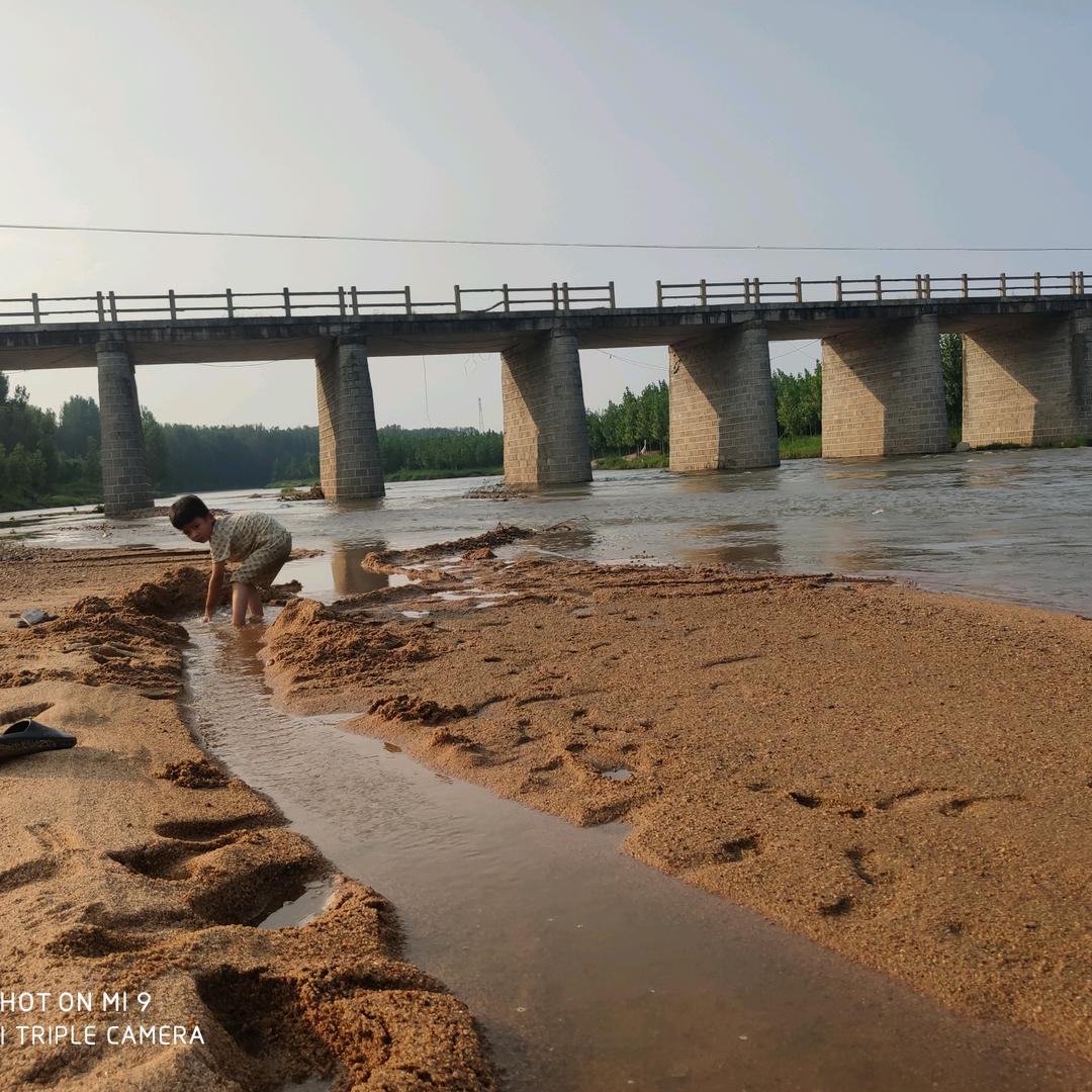 晨钰落雁  　　　　　　　　　   🪳