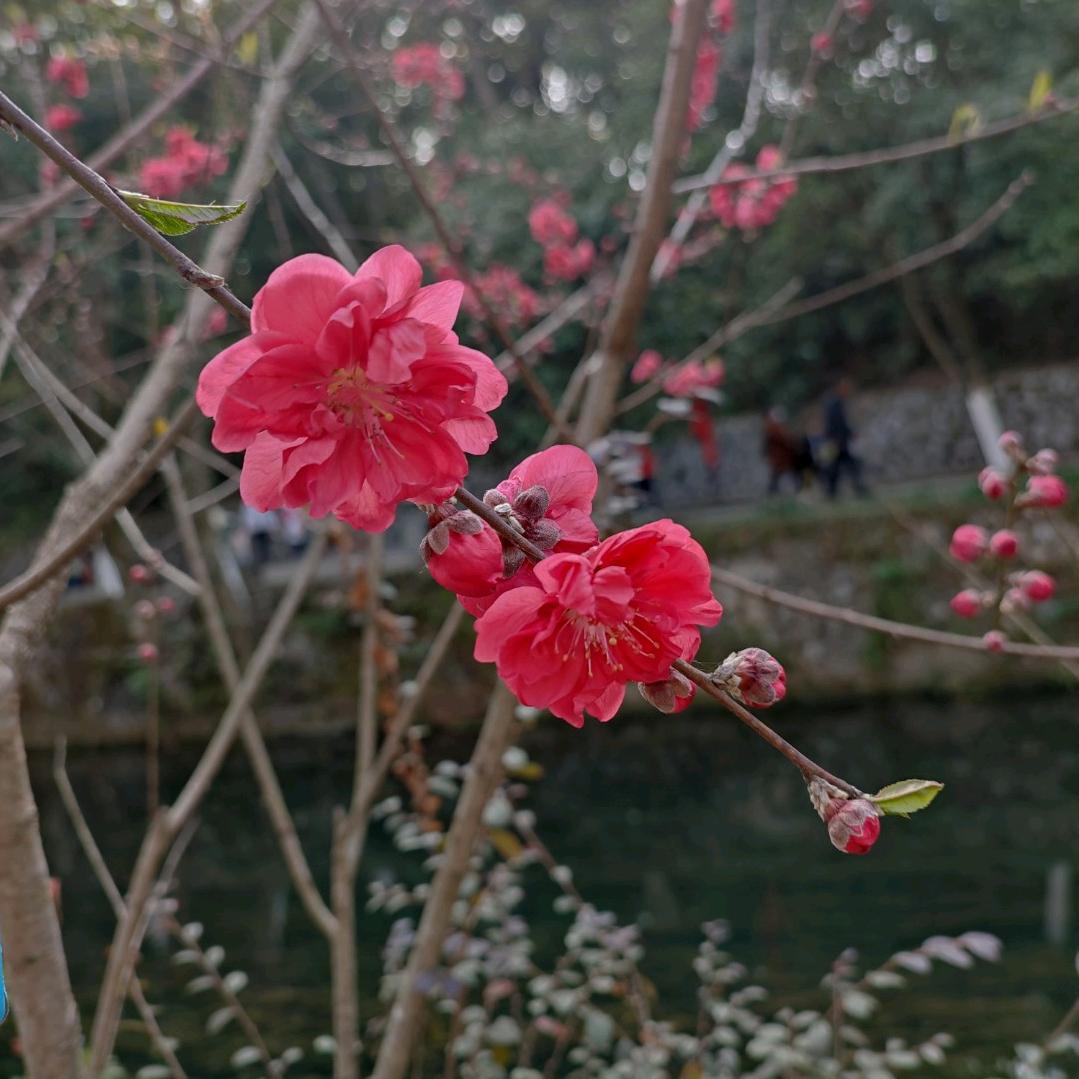 俩小只百货优选