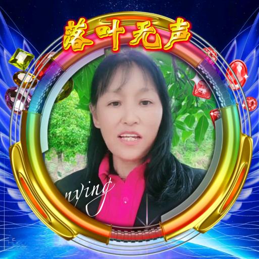 落叶~无声