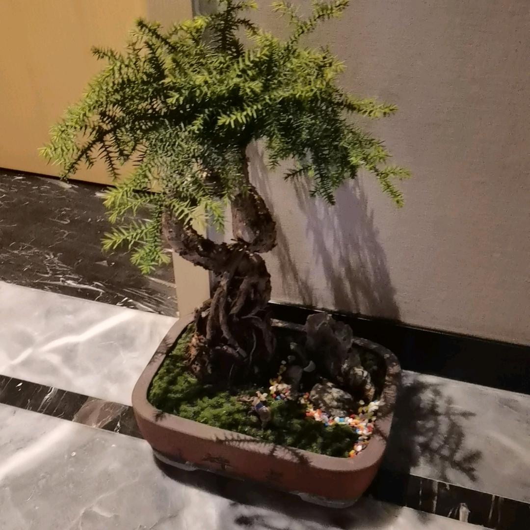 我我我的点