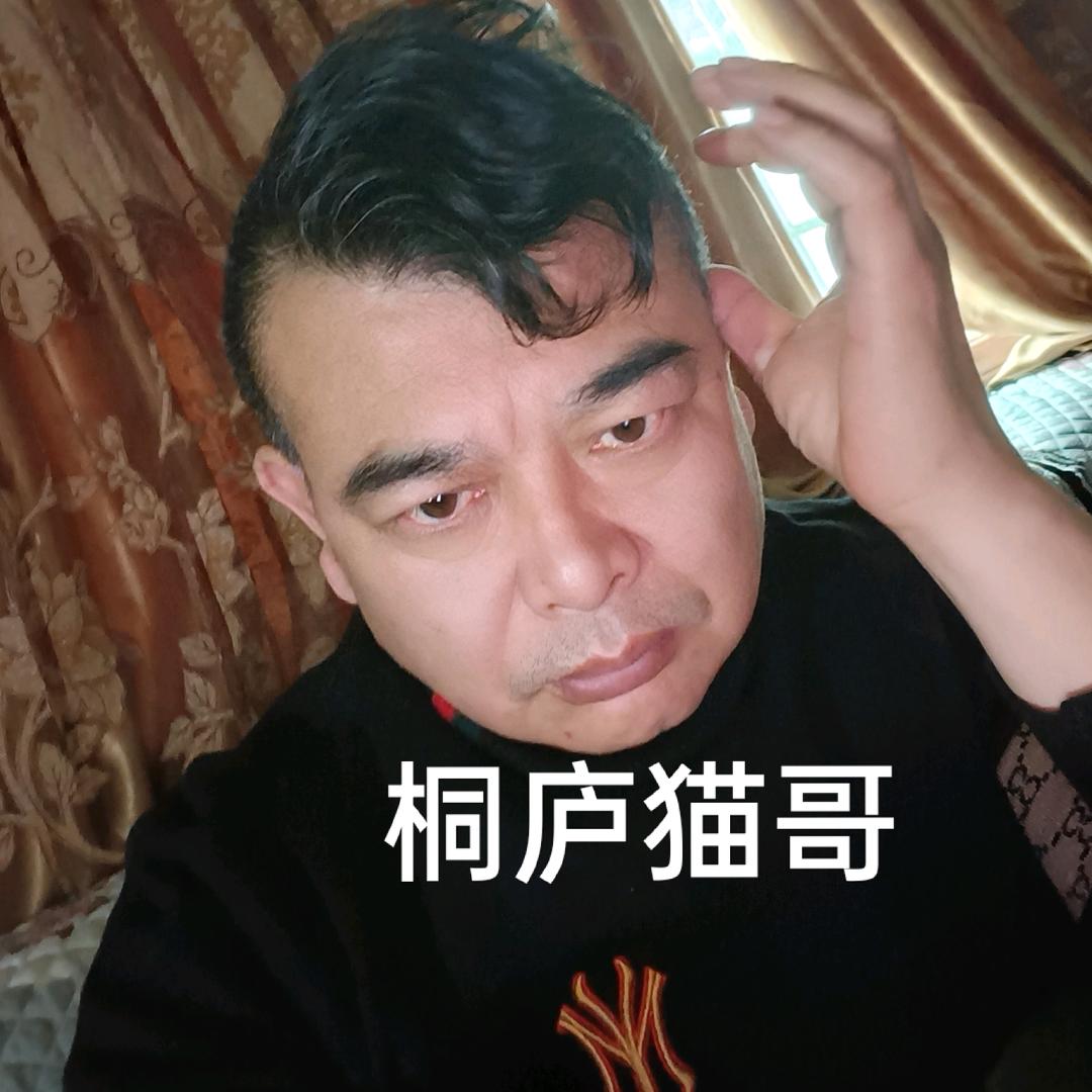 桐庐猫哥！
