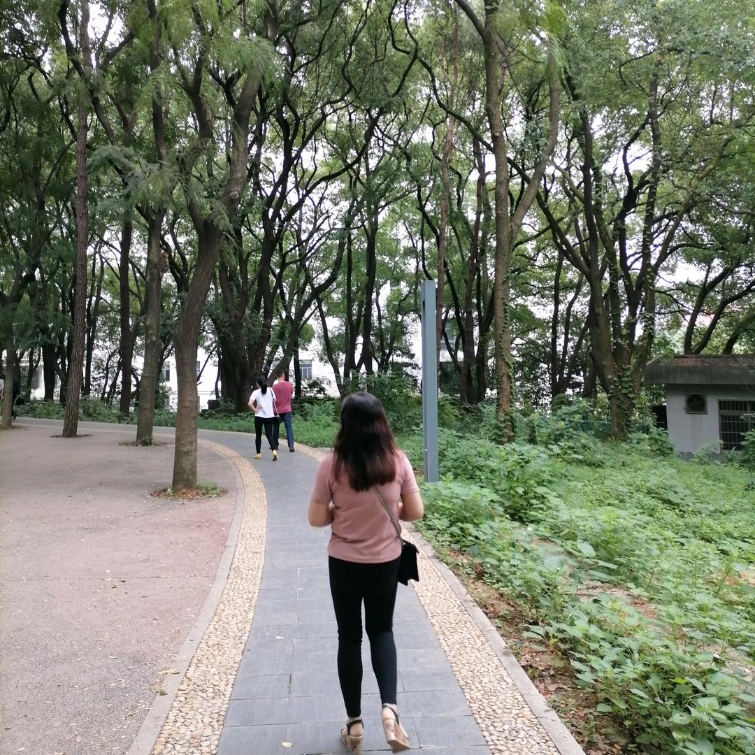 玫子