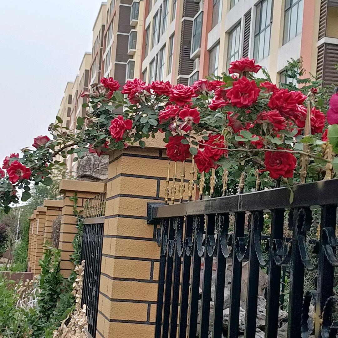 武德如家包子铺