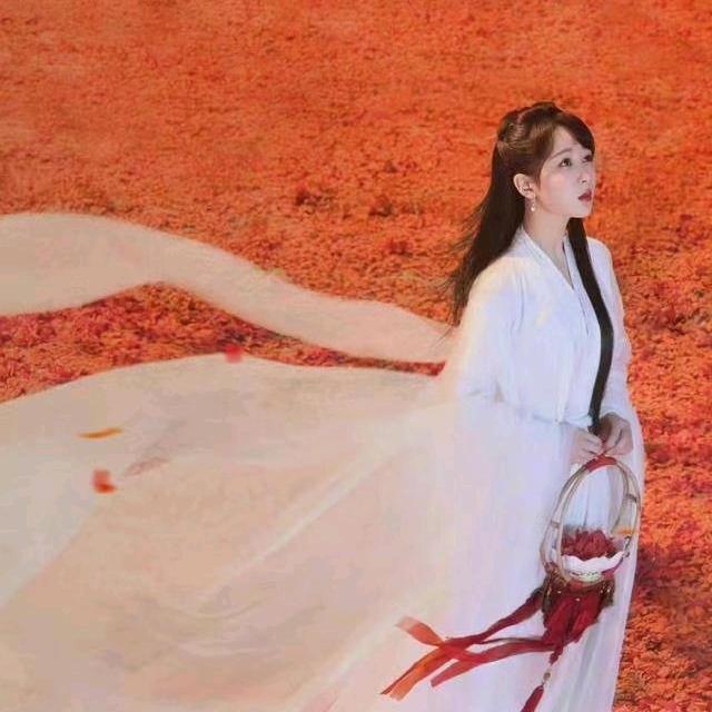 美丽芭蕾