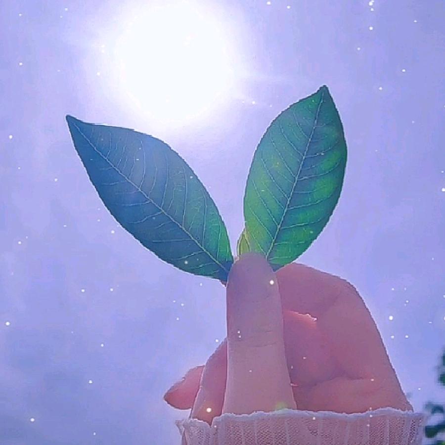 萱萱21