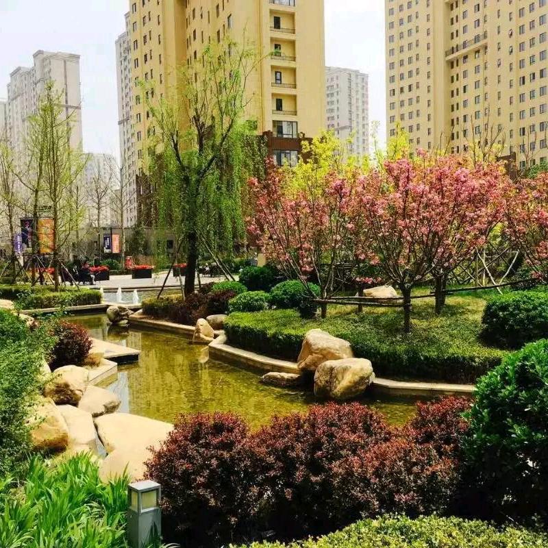 宁静致远天道酬勤