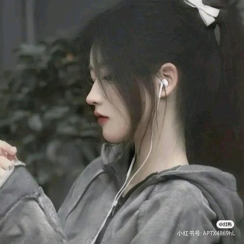 照辞
