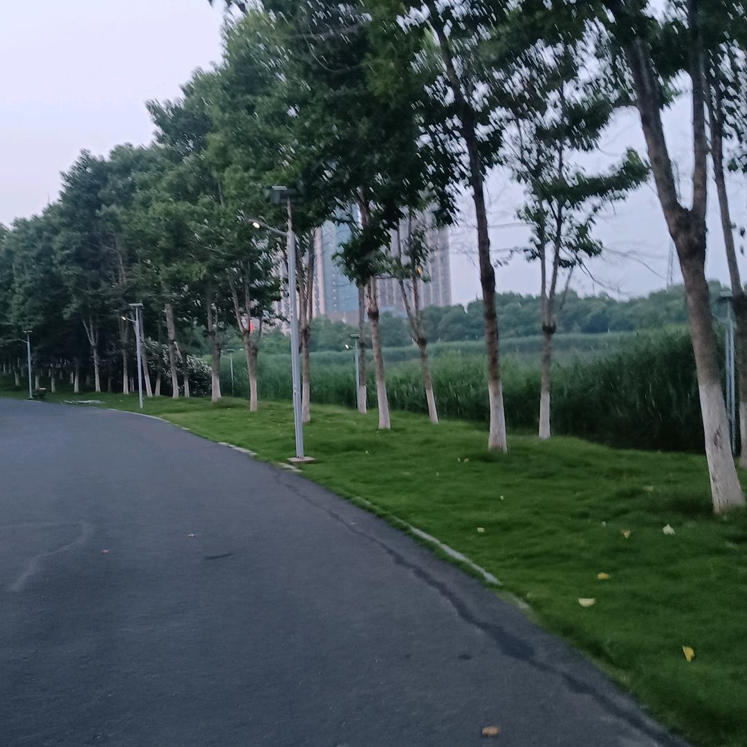 海的声音