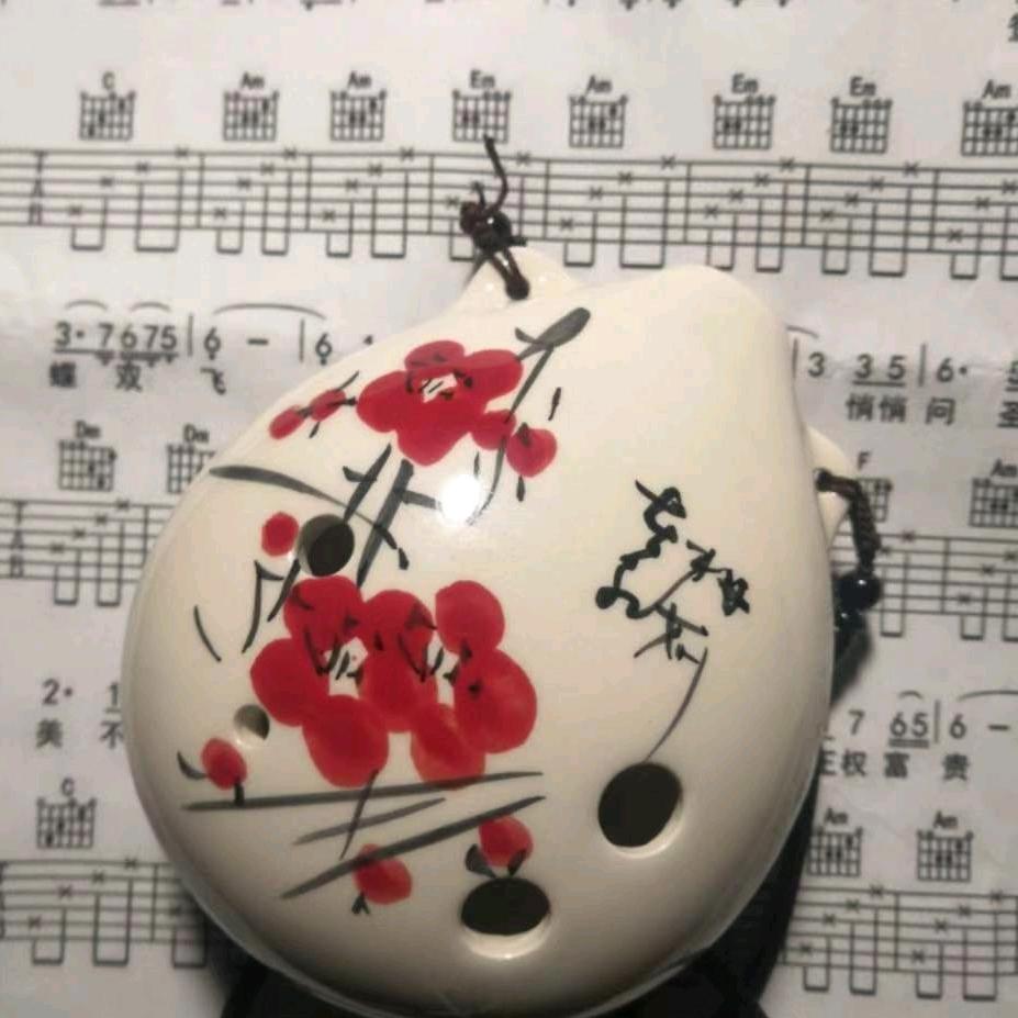 冬虫草