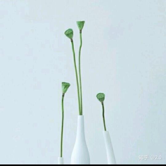 @一切随缘@