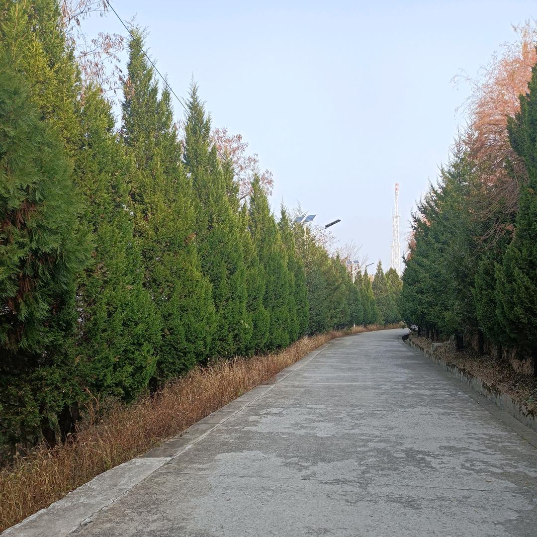 我的未来不是梦