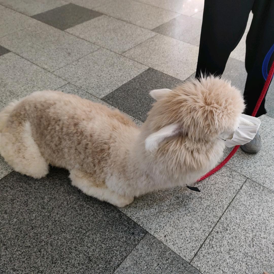 杨峰