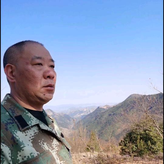 高山茶人