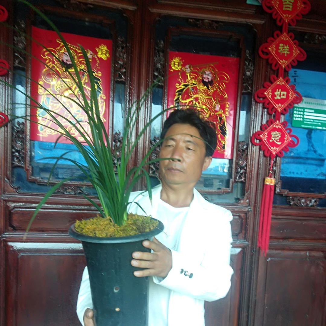 腾龍阁兰苑