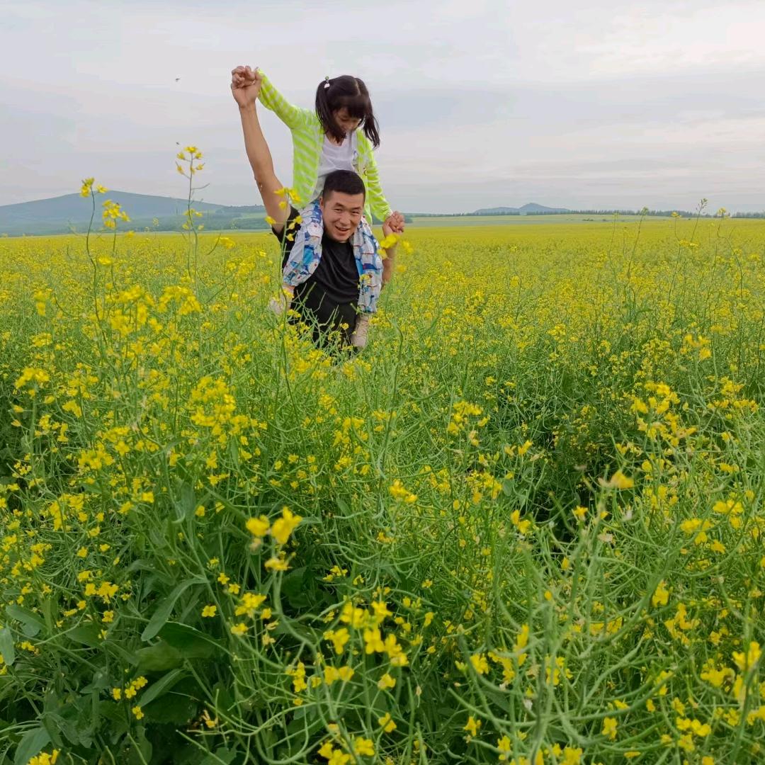 艺海红木 国际红木源头