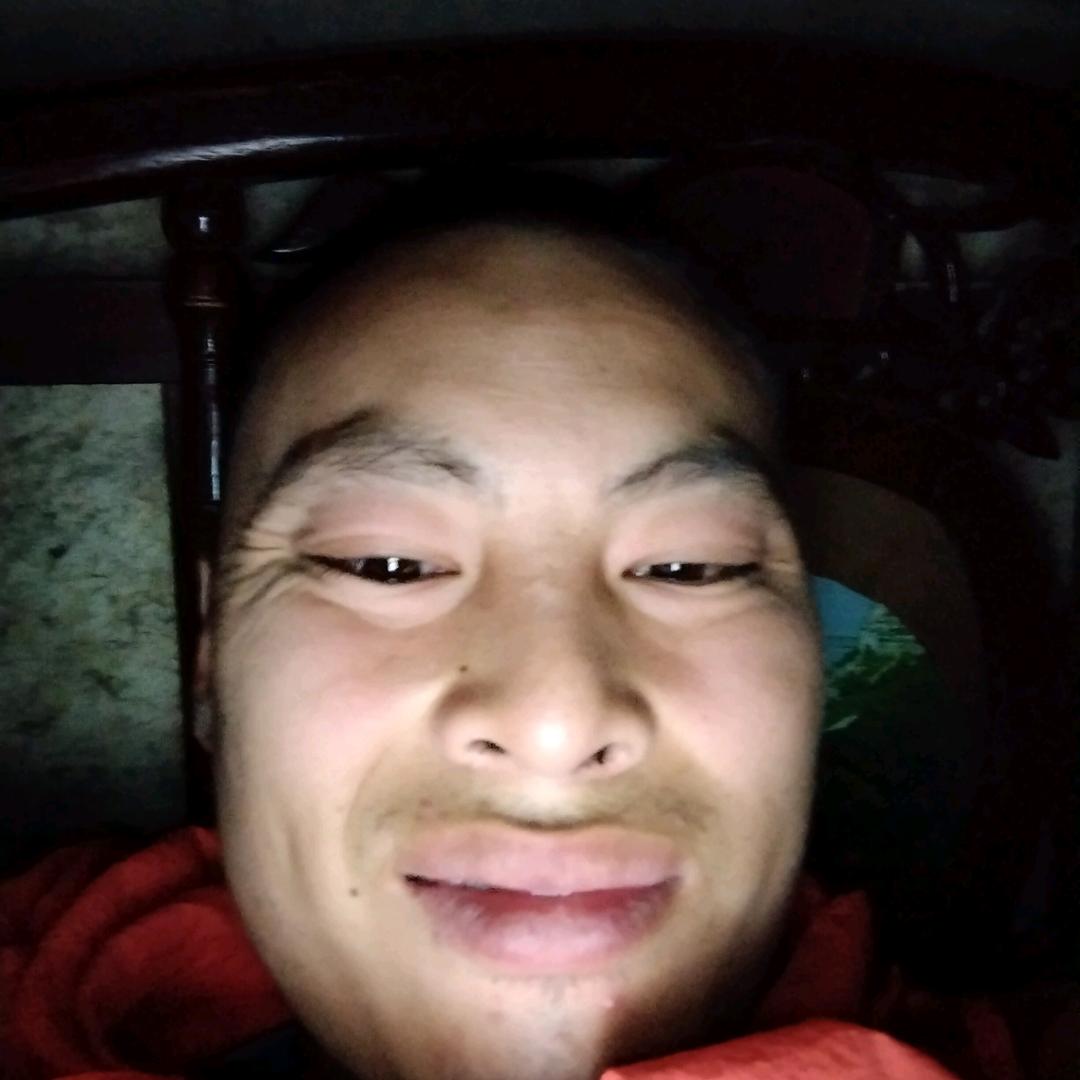 台南小虎