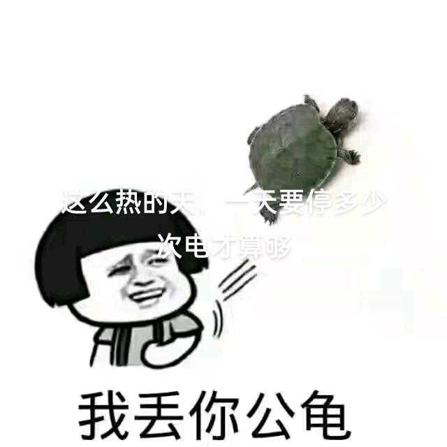 川虎营。浪子水果