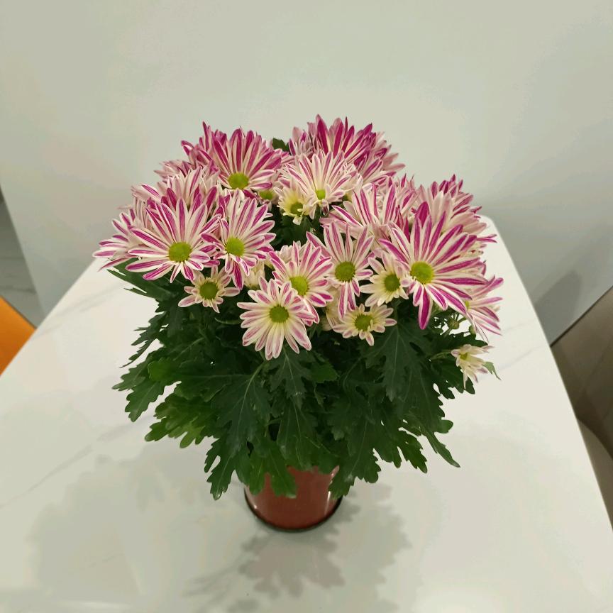 吕♥途有你