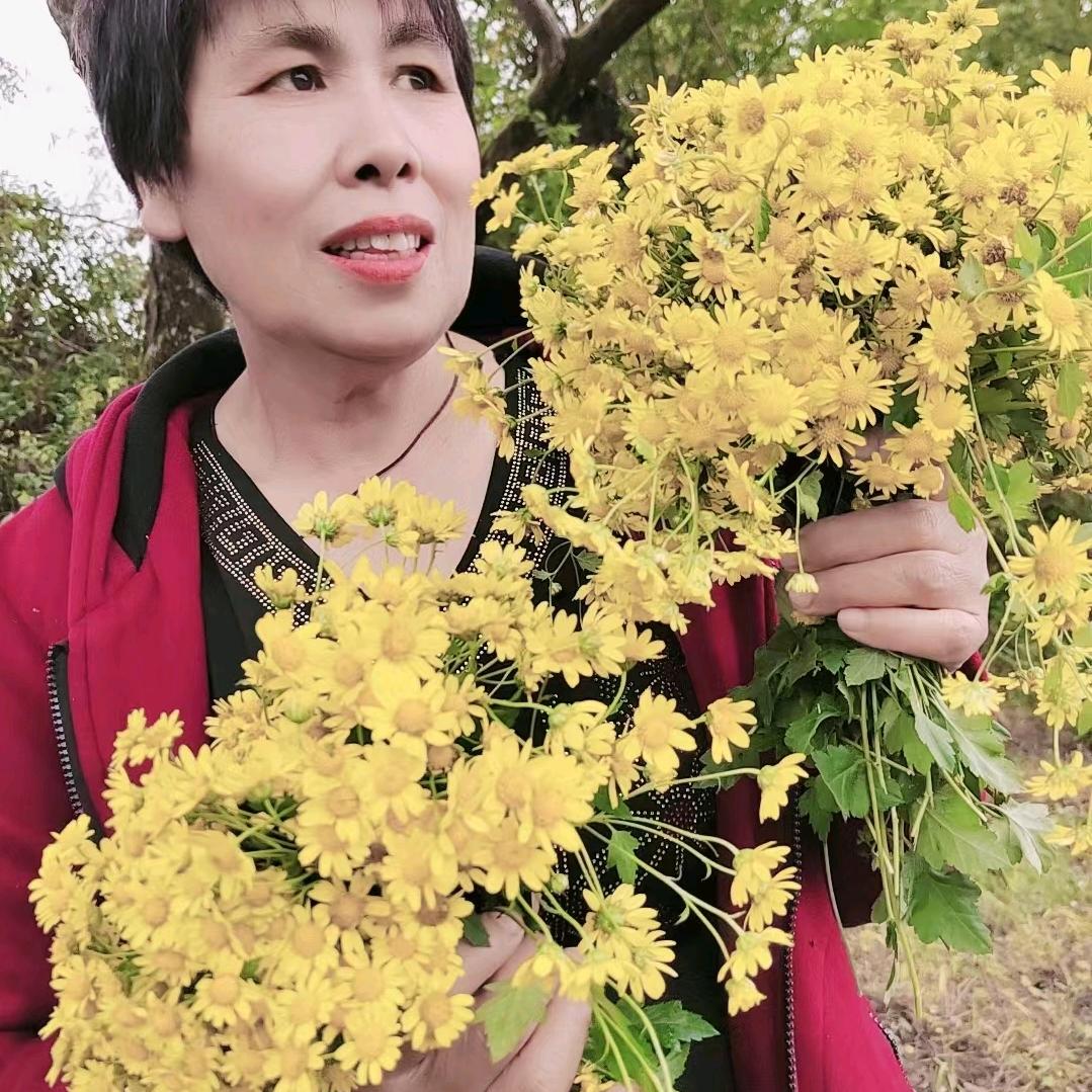 爱飞的鱼！拒私聊