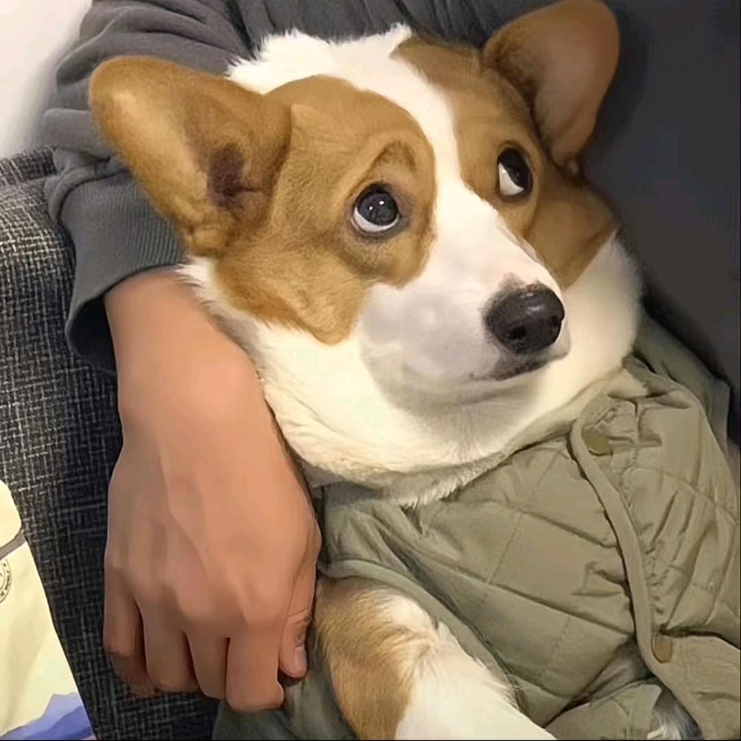 秋序拾玖·慕凉头像