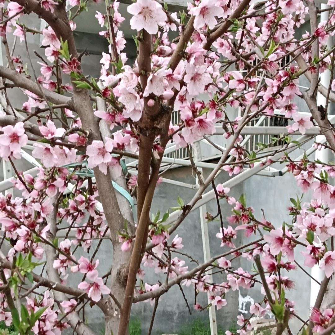 家平淡就是幸福