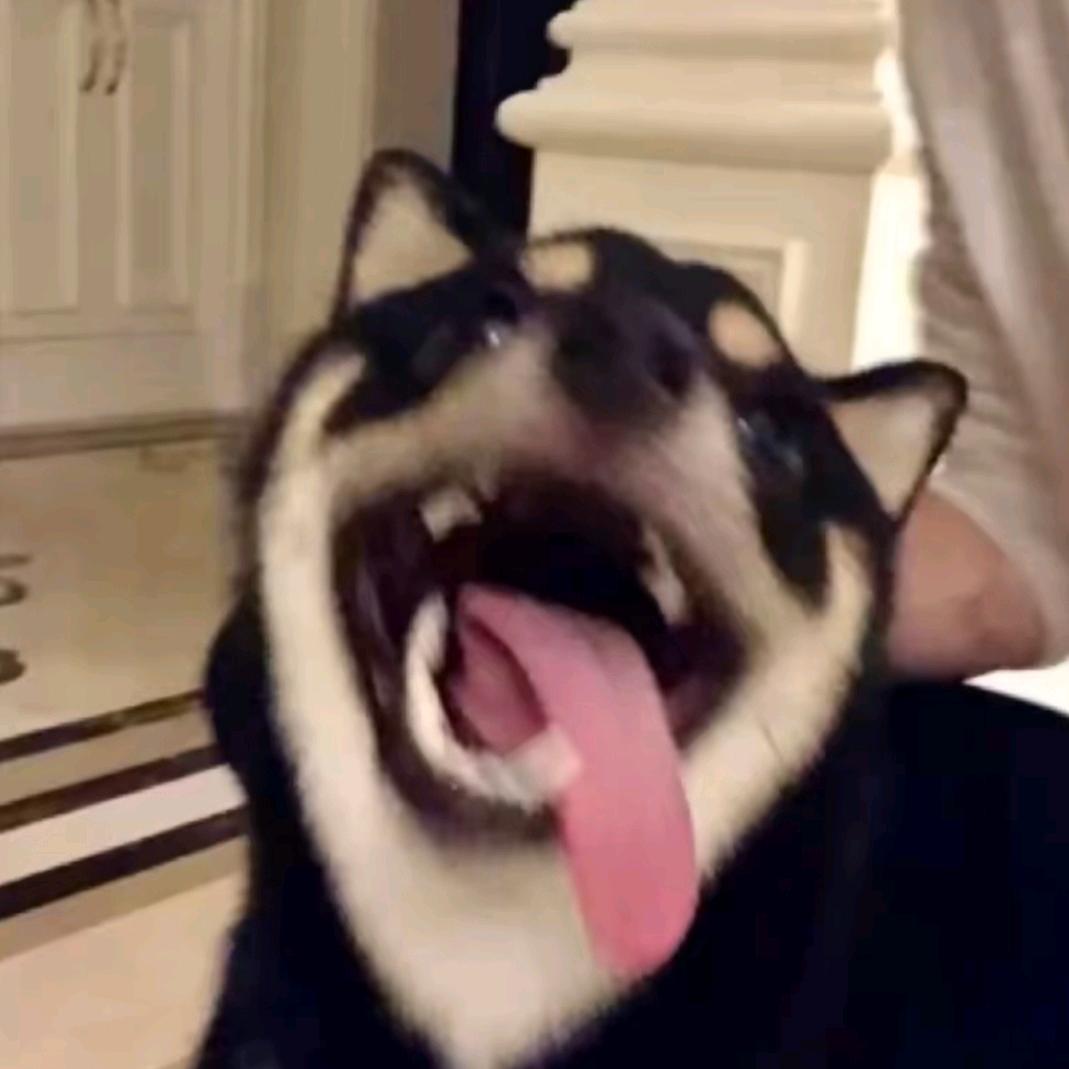 摘月亮的囡囡
