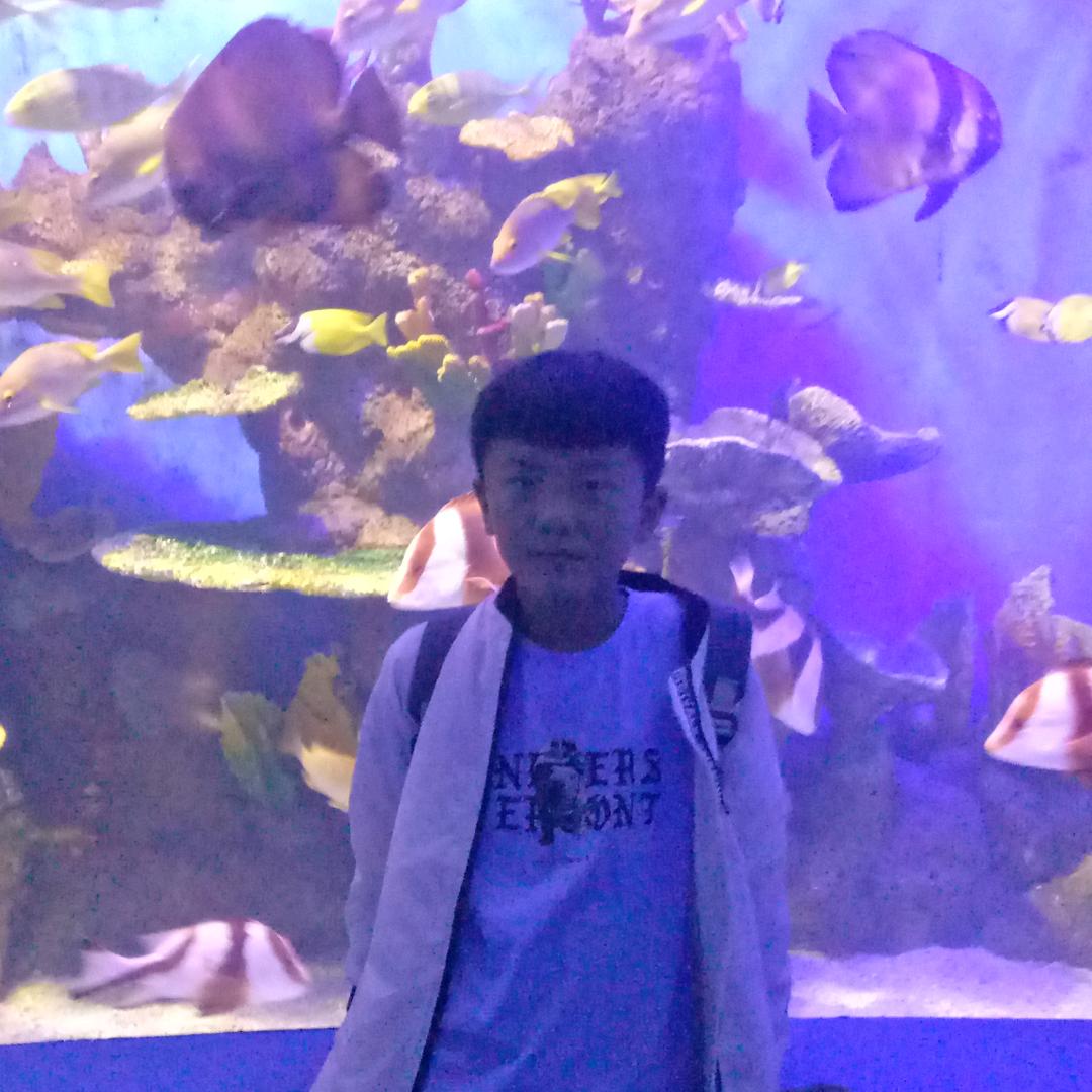 诚信永恒