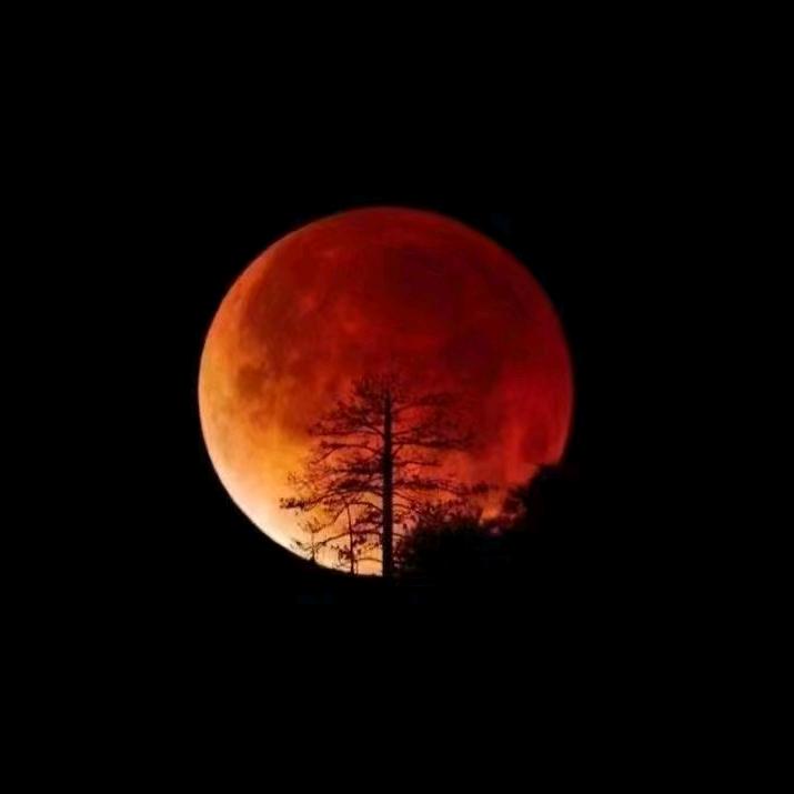 㤀亼（拒绝私聊，请谅解）