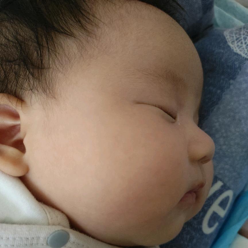暴躁文