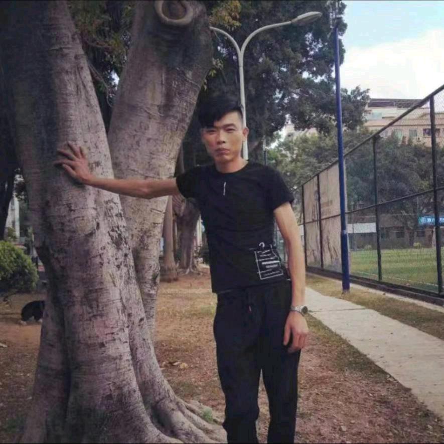 :杨