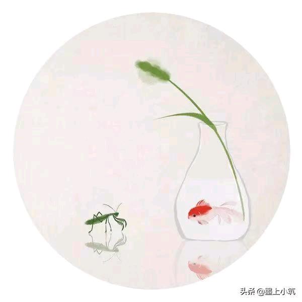 鱼小酸菜鱼