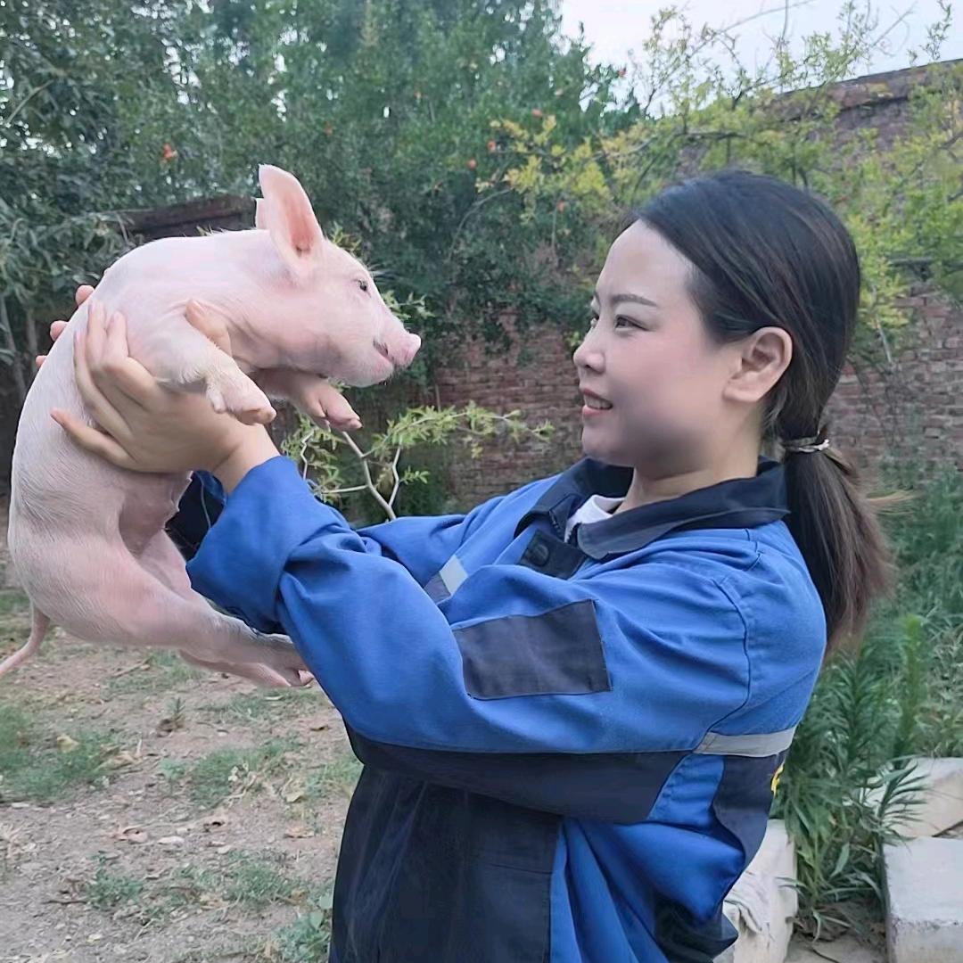养猪小妹