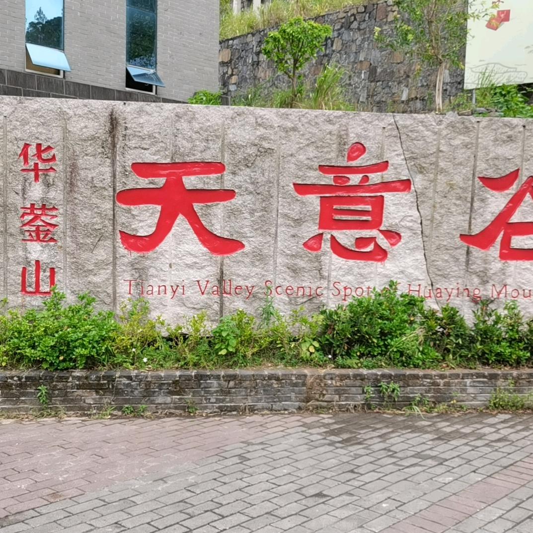 网约车小趴菜