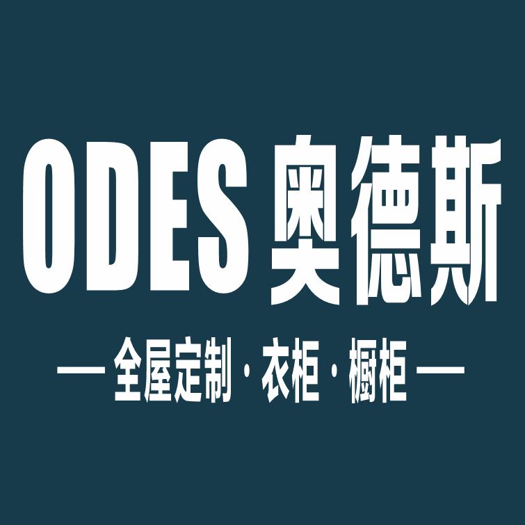 奥德斯全屋定制彭军龙