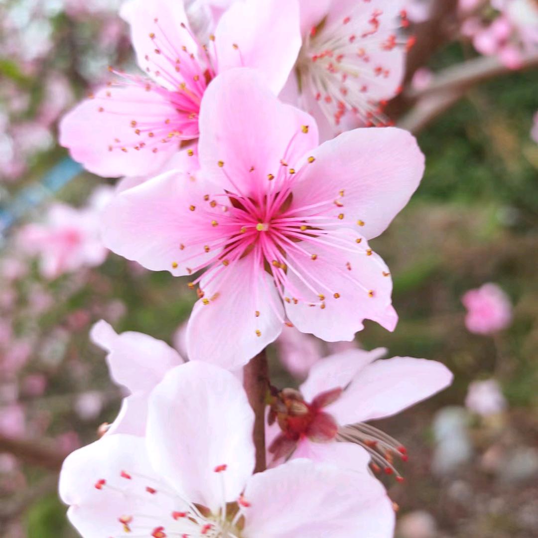 💐温馨💞
