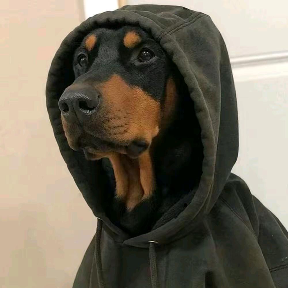 人生要精彩